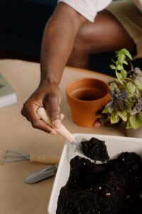 How to Start a Small Herb Garden Indoors