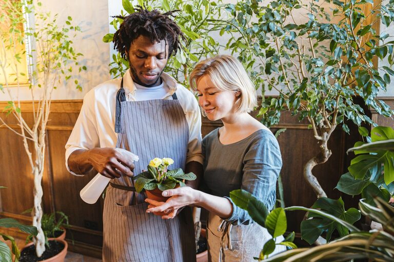 Simple Tips for Keeping Your Houseplants Healthy
